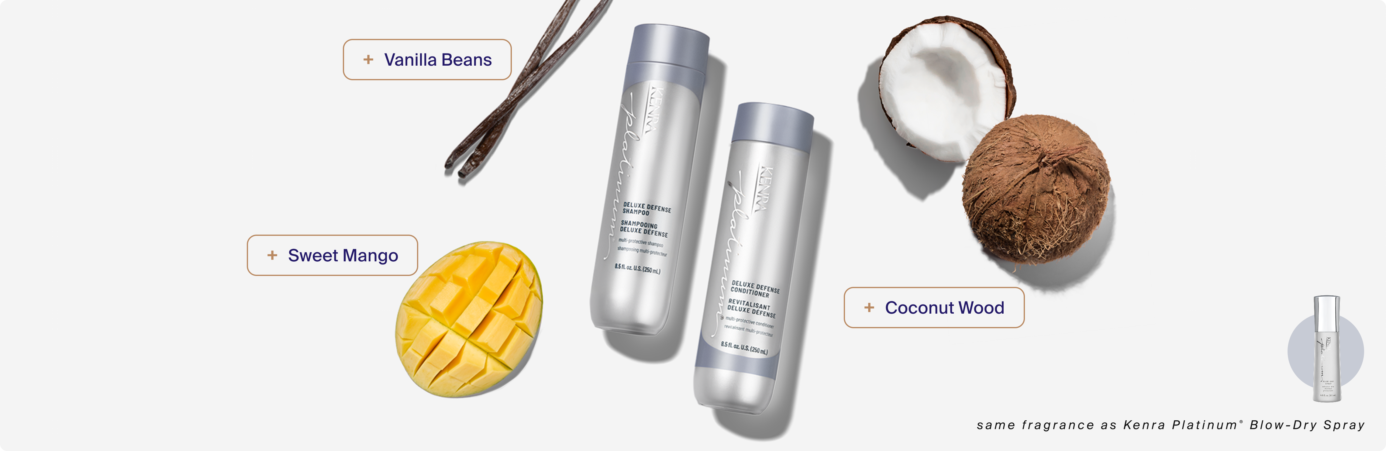 Deluxe Defense Shampoo & Conditioner fragrance notes