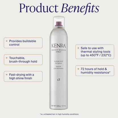 Perfect Medium Spray 13
