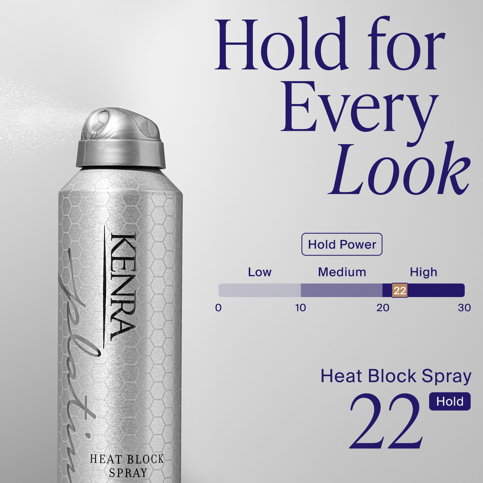 Heat Block Spray 22 – Protecting Spray | Kenra Professional
