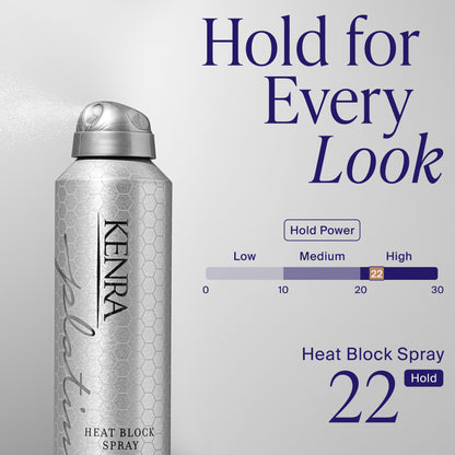 Heat Block Spray 22