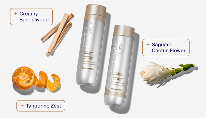 Luxe Shine Shampoo & Conditioner fragrance notes