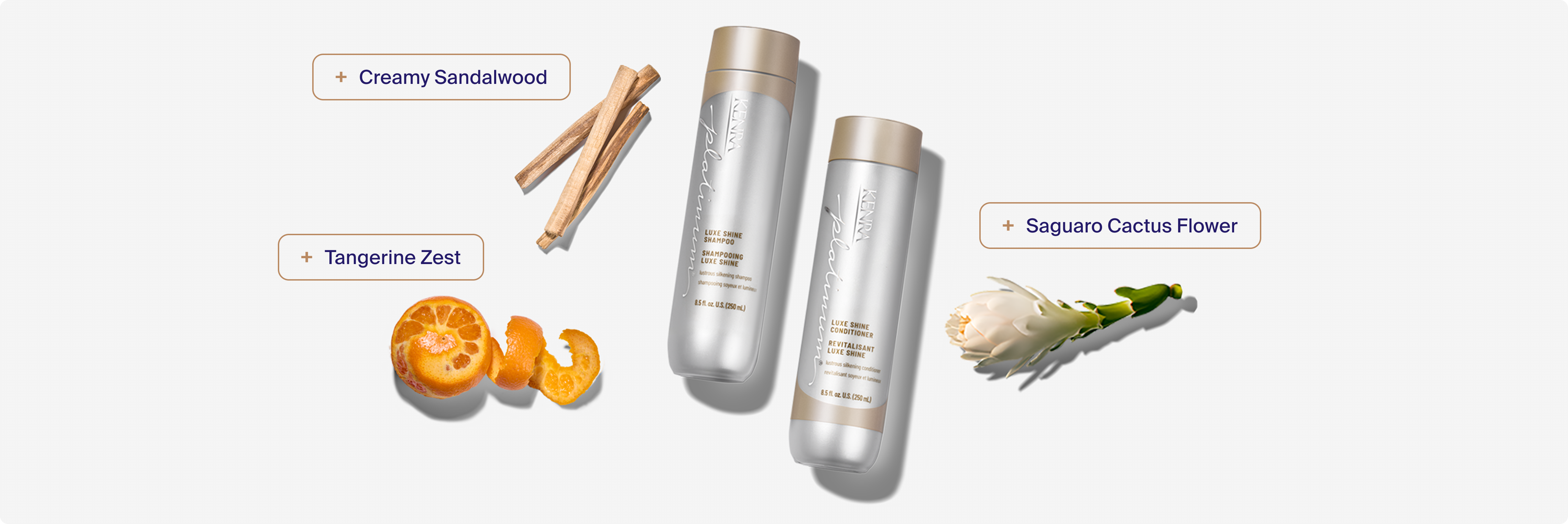 Luxe Shine Shampoo & Conditioner fragrance notes