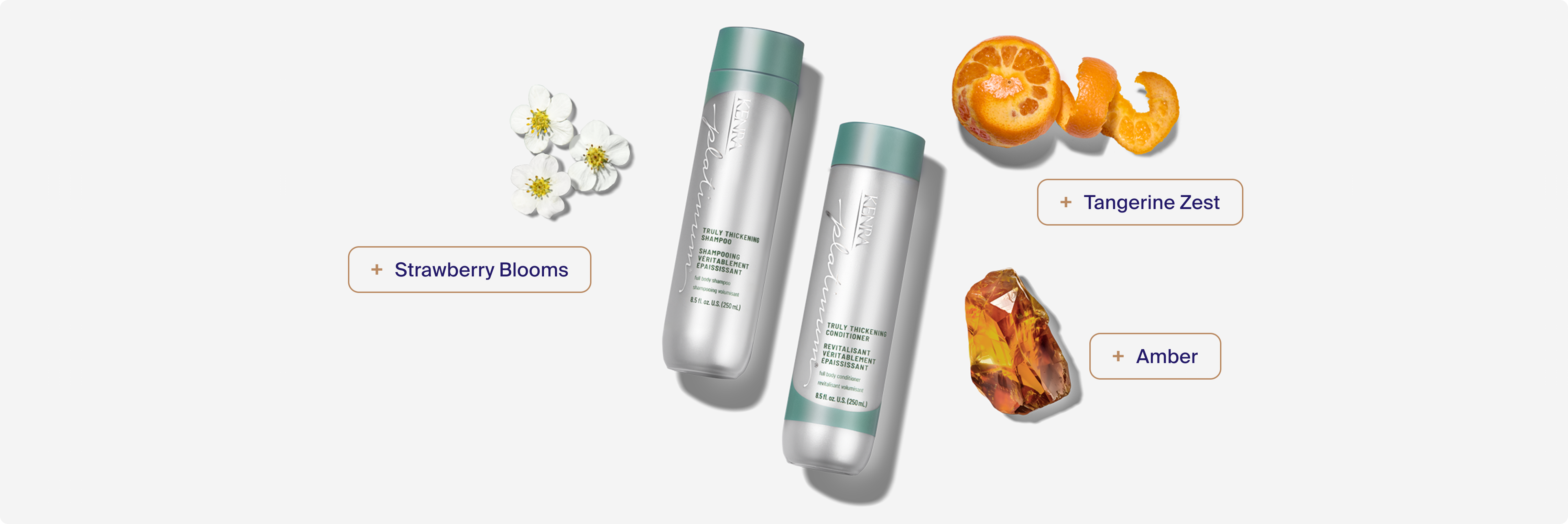 Truly Thickening Shampoo & Conditioner fragrance notes